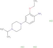 2-Ethoxy-4-[4-(propan-2-yl)piperazin-1-yl]aniline trihydrochloride