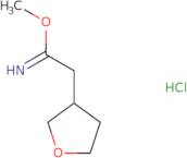 Methyl 2-(oxolan-3-yl)ethanecarboximidate hydrochloride