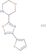 3-[3-(Thiophen-2-yl)-1,2,4-oxadiazol-5-yl]morpholine hydrochloride