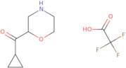 2-Cyclopropanecarbonylmorpholine, trifluoroacetic acid