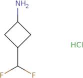 3-(Difluoromethyl)cyclobutan-1-amine hydrochloride