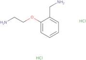 [2-(2-Aminoethoxy)phenyl]methanamine dihydrochloride