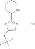 2-[5-(2,2,2-Trifluoroethyl)-1,3,4-oxadiazol-2-yl]piperidine hydrochloride