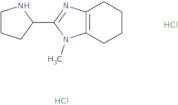 1-Methyl-2-(pyrrolidin-2-yl)-4,5,6,7-tetrahydro-1H-1,3-benzodiazole dihydrochloride