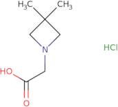 2-(3,3-Dimethylazetidin-1-yl)acetic acid hydrochloride