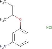 3-(Butan-2-yloxy)aniline hydrochloride