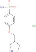 4-(Pyrrolidin-3-ylmethoxy)benzene-1-sulfonamide hydrochloride