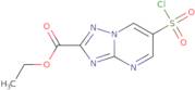 Ethyl 6-(chlorosulfonyl)-[1,2,4]triazolo[1,5-a]pyrimidine-2-carboxylate
