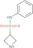 N-Phenylazetidine-3-sulfonamide