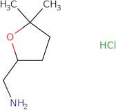 (5,5-Dimethyloxolan-2-yl)methanamine hydrochloride