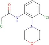 2-Chloro-N-[3-chloro-2-(morpholin-4-yl)phenyl]acetamide