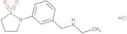 2-{3-[(Ethylamino)methyl]phenyl}-1,2-thiazolidine-1,1-dione hydrochloride