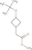 Methyl 2-[3-(tert-butoxy)cyclobutyl]acetate