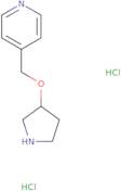 4-[(Pyrrolidin-3-yloxy)methyl]pyridine dihydrochloride