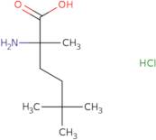 2-Amino-2,5,5-trimethylhexanoic acid hydrochloride