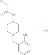 2-Chloro-N-{1-[(2-methylphenyl)methyl]piperidin-4-yl}acetamide hydrochloride