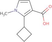 2-Cyclobutyl-1-methyl-1H-pyrrole-3-carboxylic acid