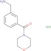 [3-(Morpholine-4-carbonyl)phenyl]methanamine hydrochloride