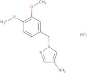 1-[(3,4-Dimethoxyphenyl)methyl]-1H-pyrazol-4-amine hydrochloride