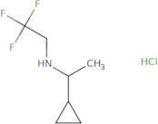 (1-Cyclopropylethyl)(2,2,2-trifluoroethyl)amine hydrochloride