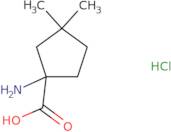 1-Amino-3,3-dimethylcyclopentane-1-carboxylic acid hydrochloride