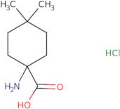 1-Amino-4,4-dimethylcyclohexane-1-carboxylic acid hydrochloride