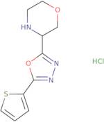 3-[5-(Thiophen-2-yl)-1,3,4-oxadiazol-2-yl]morpholine hydrochloride