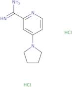 4-(Pyrrolidin-1-yl)pyridine-2-carboximidamide dihydrochloride