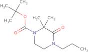 tert-Butyl 2,2-dimethyl-3-oxo-4-propylpiperazine-1-carboxylate