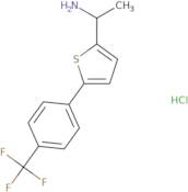 1-{5-[4-(Trifluoromethyl)phenyl]thiophen-2-yl}ethan-1-amine hydrochloride