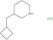 3-(Cyclobutylmethyl)piperidine hydrochloride