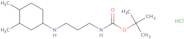 tert-Butyl N-{3-[(3,4-dimethylcyclohexyl)amino]propyl}carbamate hydrochloride