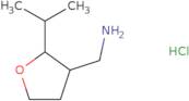 [2-(Propan-2-yl)oxolan-3-yl]methanamine hydrochloride