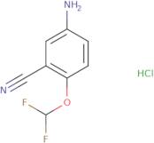 5-Amino-2-(difluoromethoxy)benzonitrile hydrochloride