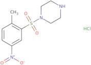 1-(2-Methyl-5-nitrobenzenesulfonyl)piperazine hydrochloride