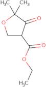 Ethyl 5,5-dimethyl-4-oxooxolane-3-carboxylate