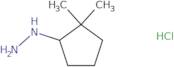 (2,2-Dimethylcyclopentyl)hydrazine hydrochloride