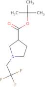 tert-Butyl 1-(2,2,2-trifluoroethyl)pyrrolidine-3-carboxylate