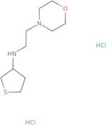 N-[2-(Morpholin-4-yl)ethyl]thiolan-3-amine dihydrochloride