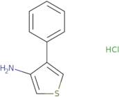 4-Phenylthiophen-3-amine hydrochloride