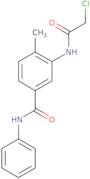 3-(2-Chloroacetamido)-4-methyl-N-phenylbenzamide