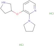 2-Pyrrolidin-1-yl-3-pyrrolidin-3-yloxypyridine dihydrochloride