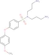 N,N-Bis(3-aminopropyl)-4-(4-methoxyphenoxy)benzene-1-sulfonamide