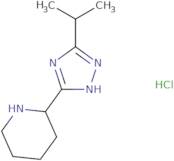 2-[5-(Propan-2-yl)-1H-1,2,4-triazol-3-yl]piperidine hydrochloride