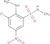 3-Chloro-N-methyl-2-(methylamino)-5-nitrobenzene-1-sulfonamide