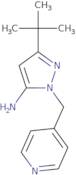 3-tert-Butyl-1-(pyridin-4-ylmethyl)-1H-pyrazol-5-amine