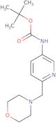 (6-Morpholin-4-ylmethyl-pyridin-3-yl)-carbamic acid tert-butyl ester