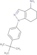 1-(4-tert-Butylphenyl)-4-amino-4,5,6,7-tetrahydroindazole