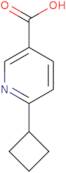 6-Cyclobutylpyridine-3-carboxylic acid