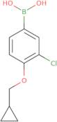 3-Chloro-4-(cyclopropylmethoxy)phenylboronic acid